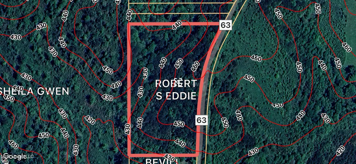 County Road 63, Mize, MS 39116 - Image #1