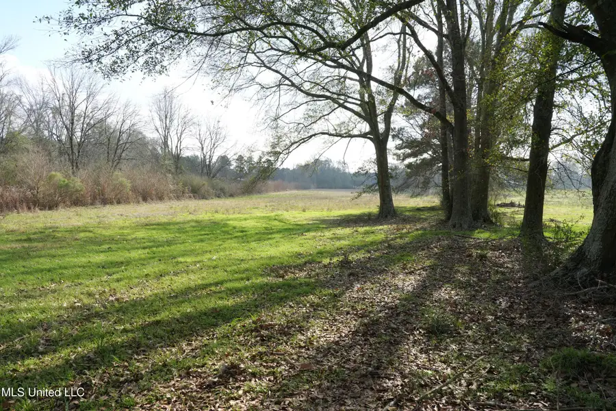 Farmer Road, Smithdale, MS 39664 - Image #3