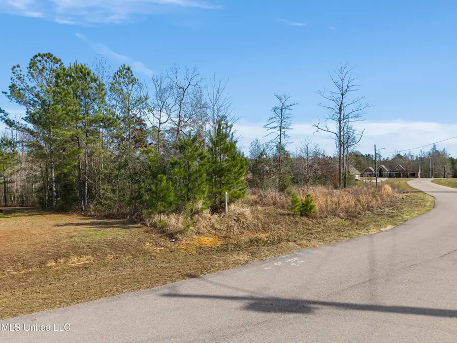 10 Crossbuck Road, Sumrall, MS 39482 - Image #2