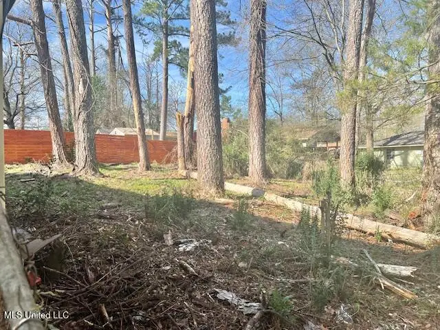 218 Hilliyard Court, Jackson, MS 39212 - Image #3