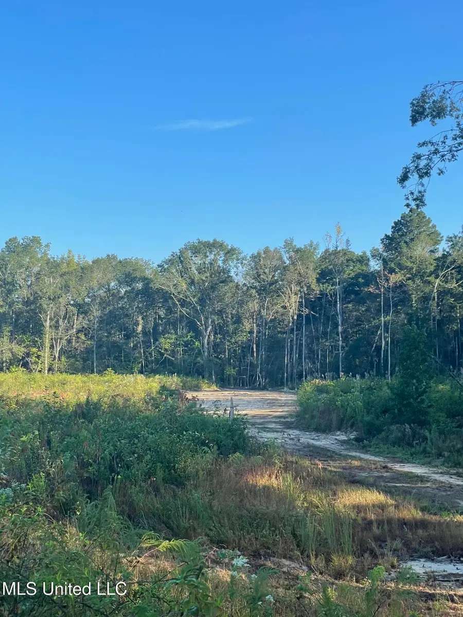 Hwy 490, Louisville, MS 39339 - Image #2