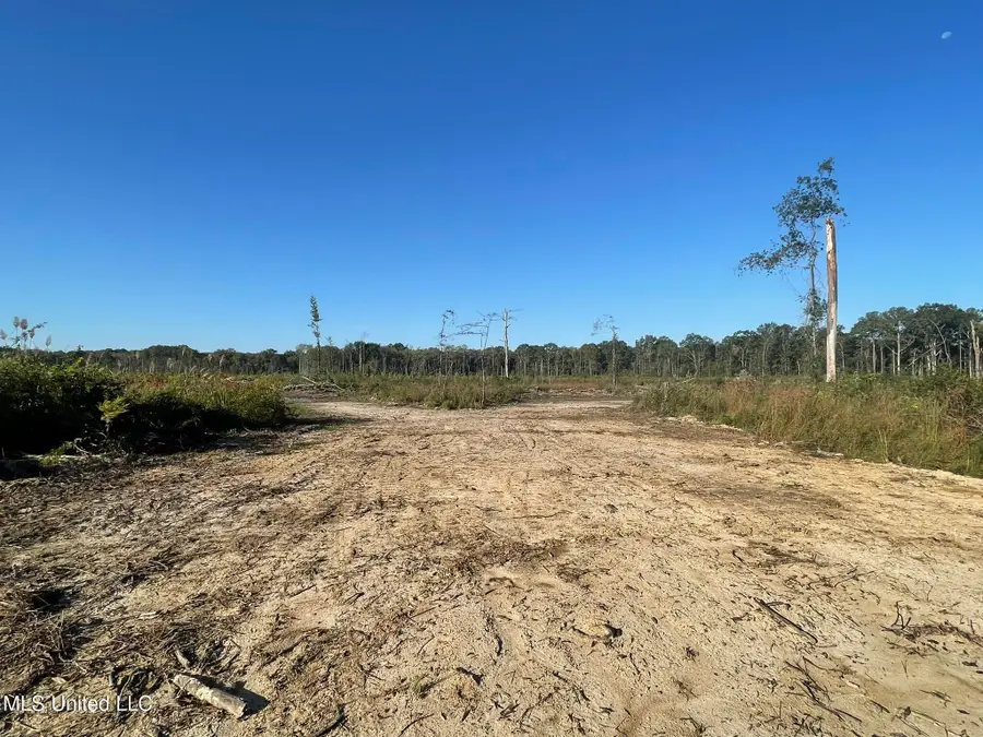 Hwy 490, Louisville, MS 39339 - Image #3