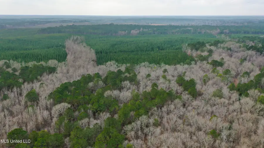 Mount Pilgrim Road, Camden, MS 39045 - Image #2
