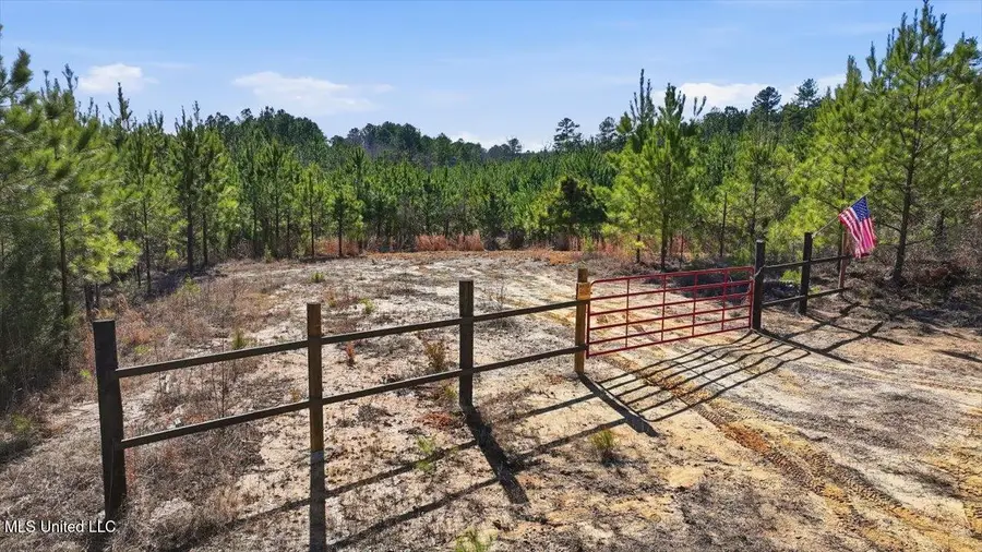 1024 Milligan Springs Road, Eupora, MS 39744 - Image #2