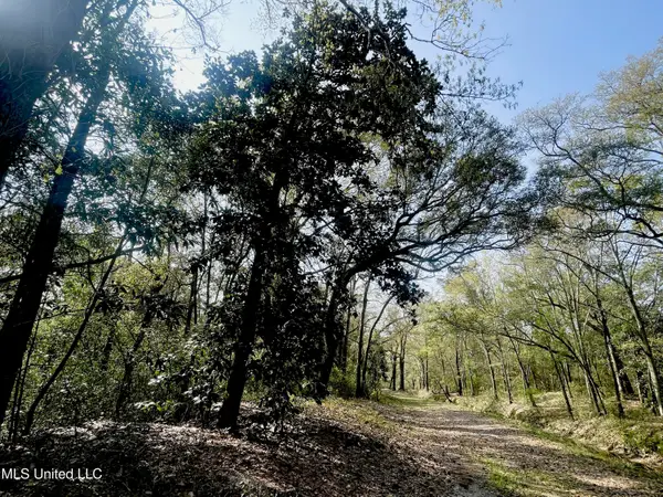 Holland Street, Pascagoula, MS 39581