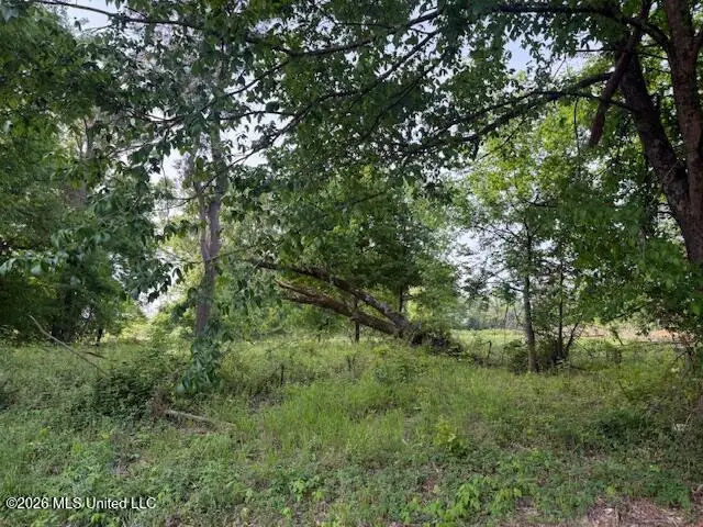 Lot 1 Slocum Road, Hernando, MS 38632 - #2