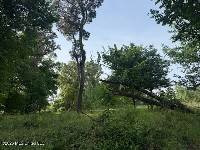Lot 1 Slocum Road, Hernando, MS 38632 - #3