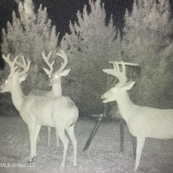 448 Attala County Road 4005 Road, Goodman, MS 39079