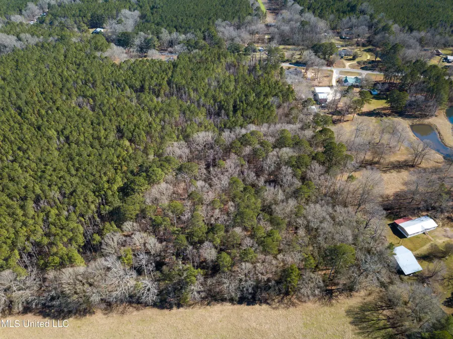 Mississippi 13 Highway, Morton, MS 39117 - Image #2