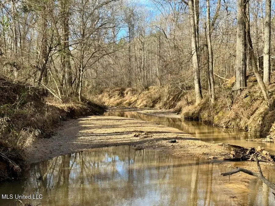 24437 Mississippi 17, Lexington, MS 39095 - Image #2