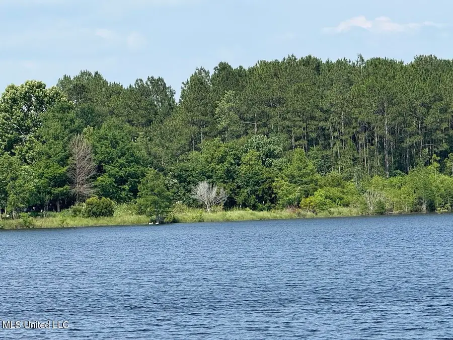 Sunfish Cove, Perkinston, MS 39573 - Image #2