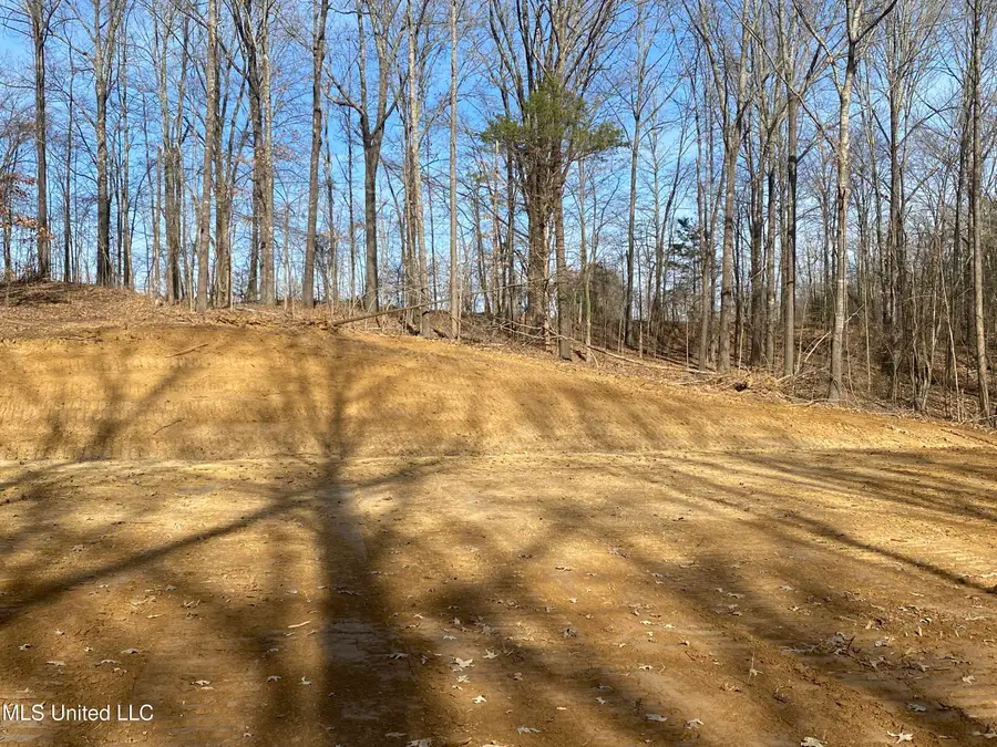 Brownsferry Rd Road, Sarah, MS 38665 - Image #2