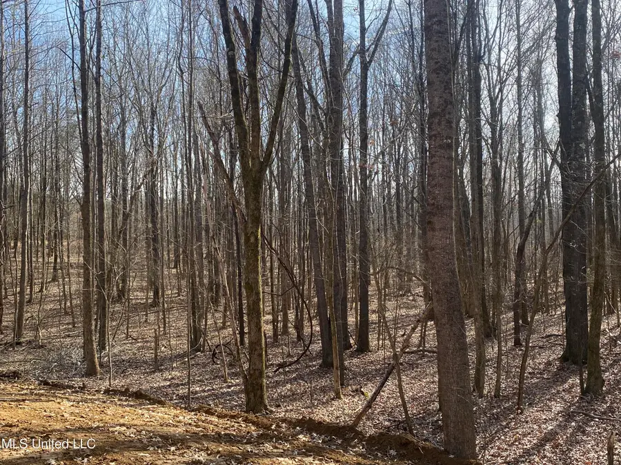 Brownsferry Rd Road, Sarah, MS 38665 - Image #3