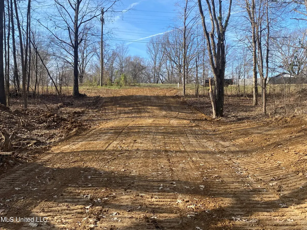 Longtown Road, Sarah, MS 38665 - Image #1