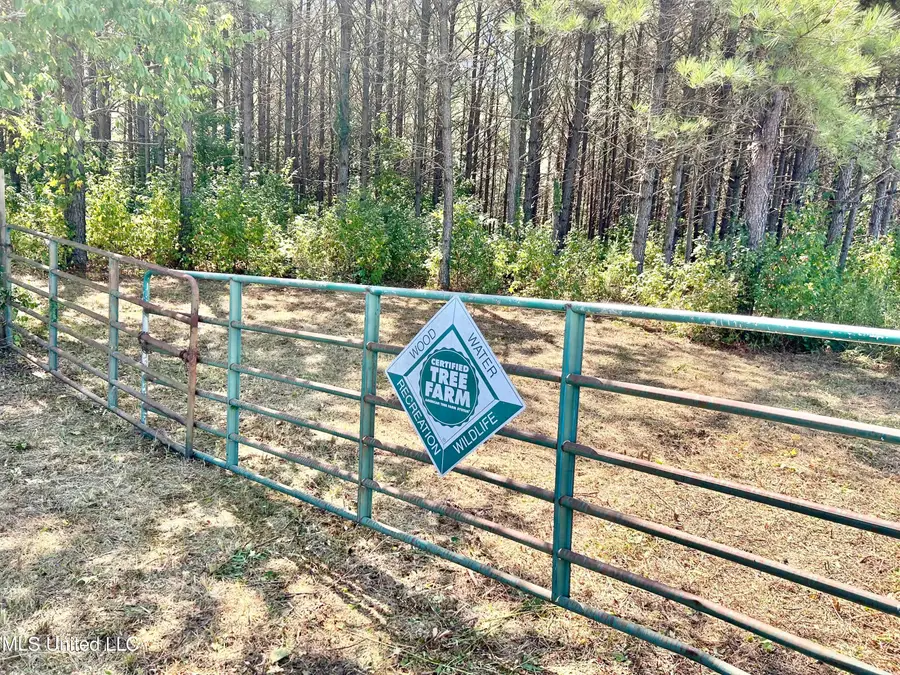 0 Graves Rd, Holly Springs, MS 38635 - Image #3