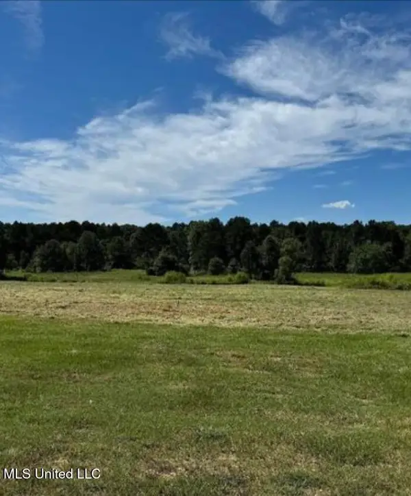 551 Clark Stables Road, Brandon, MS 39047