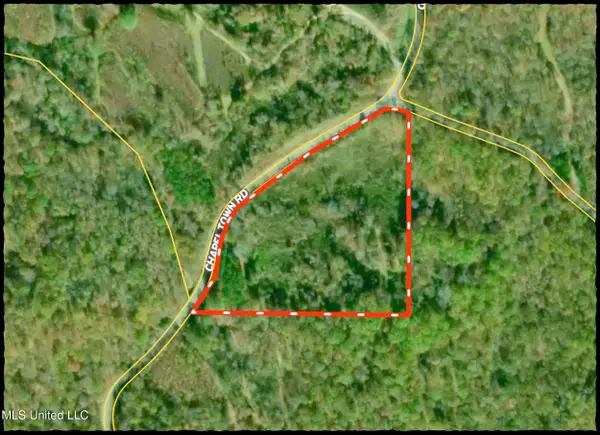Chapel Town Road, Courtland, MS 38620