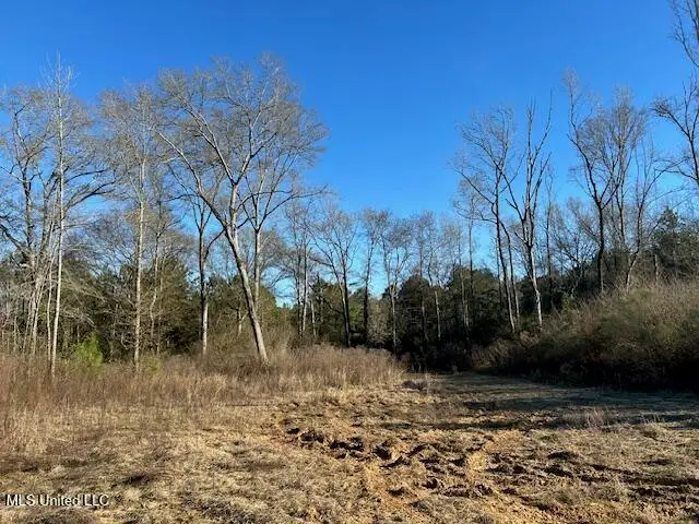 8127 Magnolia Holmesville Road, McComb, MS 39648 - Image #1