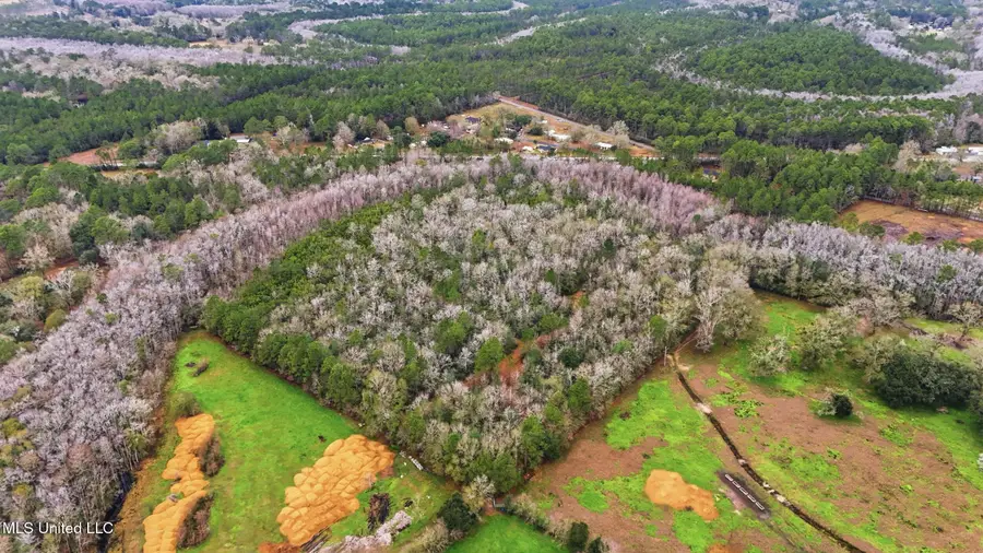 Saracennia Road, Moss Point, MS 39562 - Image #3