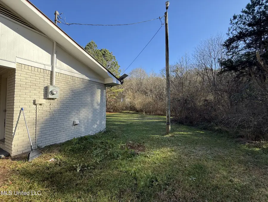 22 County Road 253, Louin, MS 39338 - #2