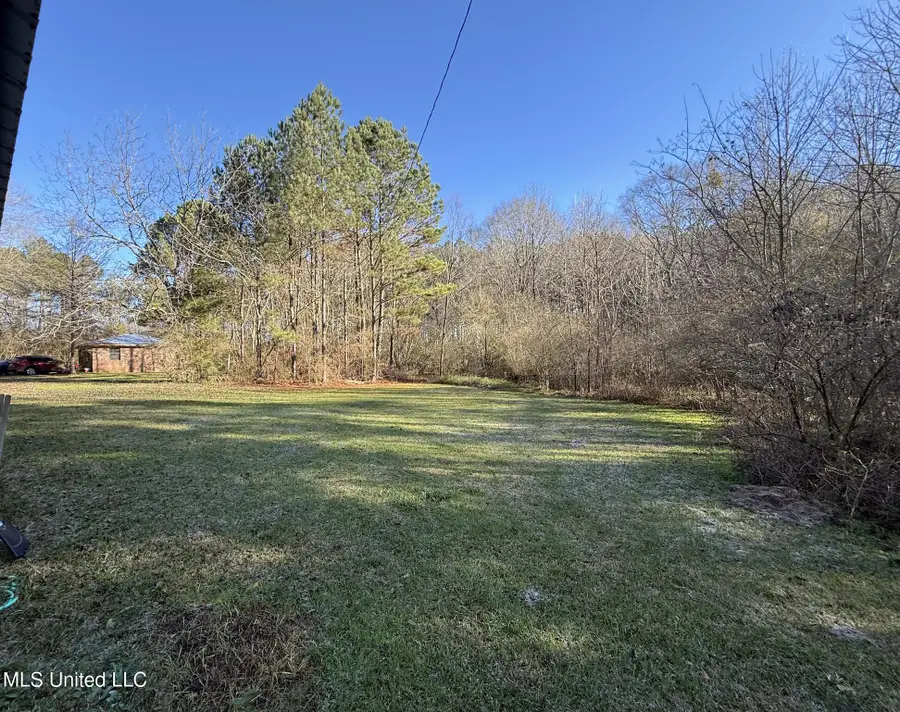 22 County Road 253, Louin, MS 39338 - #3
