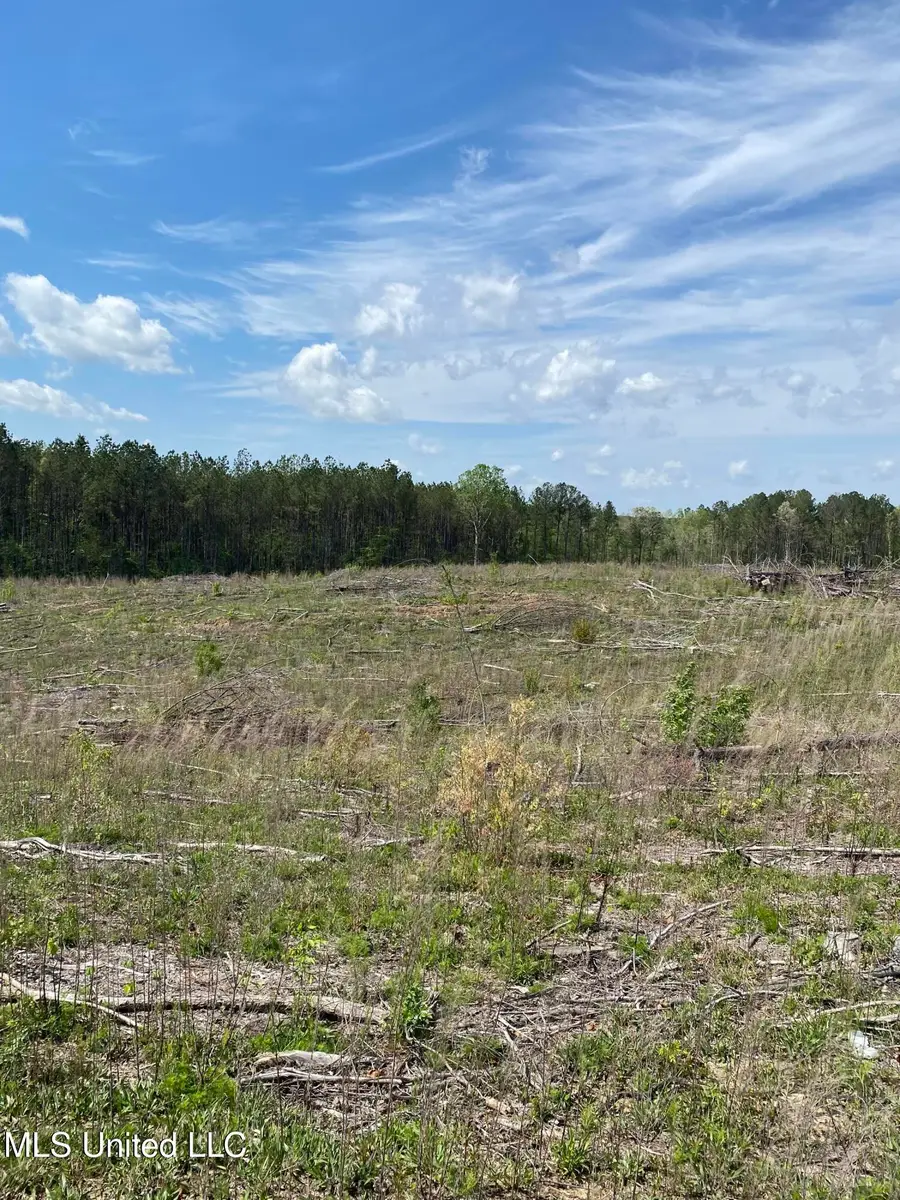 County Road 1115, Kosciusko, MS 39090 - Image #2