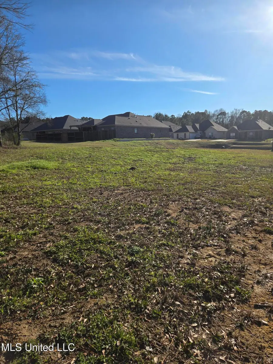 5906 Terry Road, Jackson, MS 39272 - Image #2