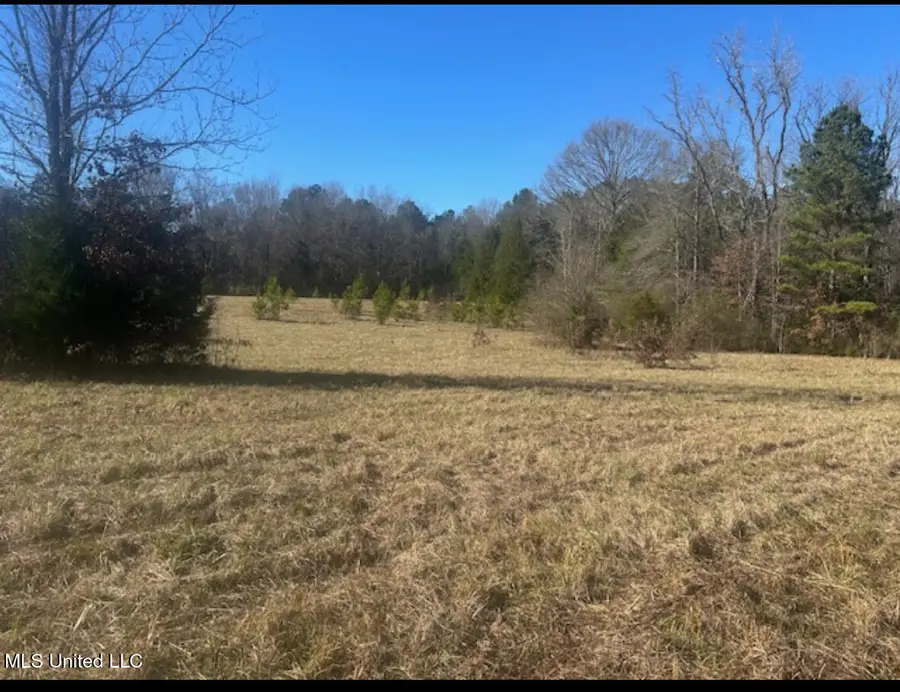 170 Camden Road, Camden, MS 39045 - Image #2