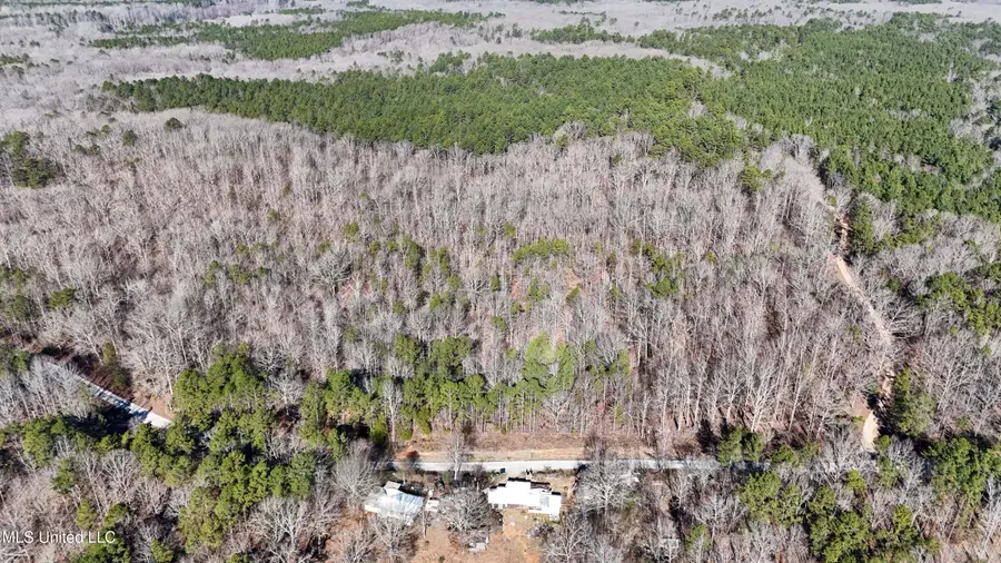 0 Tall Pines Road, Ashland, MS 38603 - Image #2