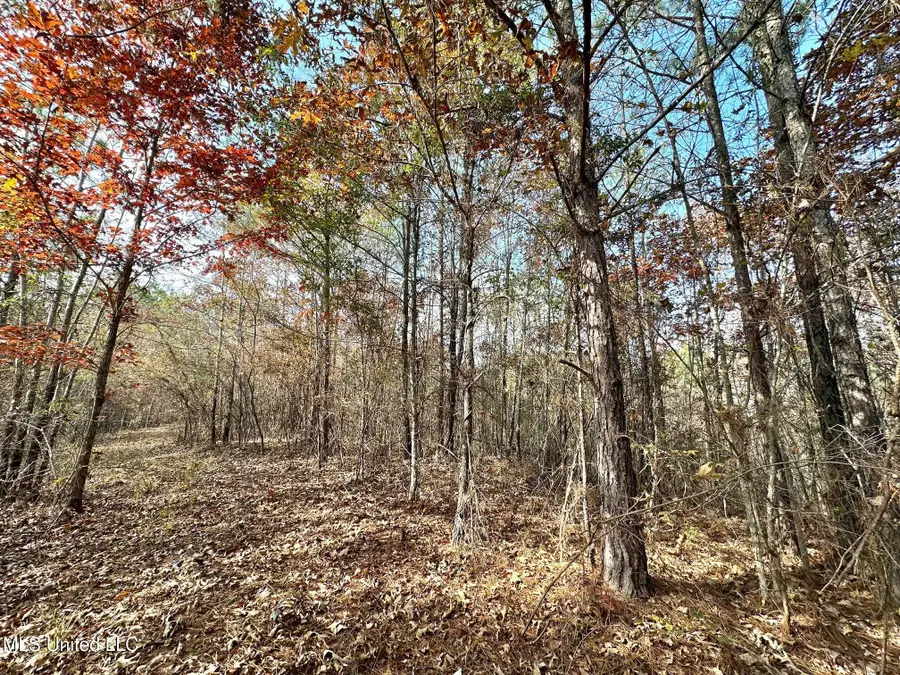 7 County Road 3122, McCool, MS 39108 - Image #2