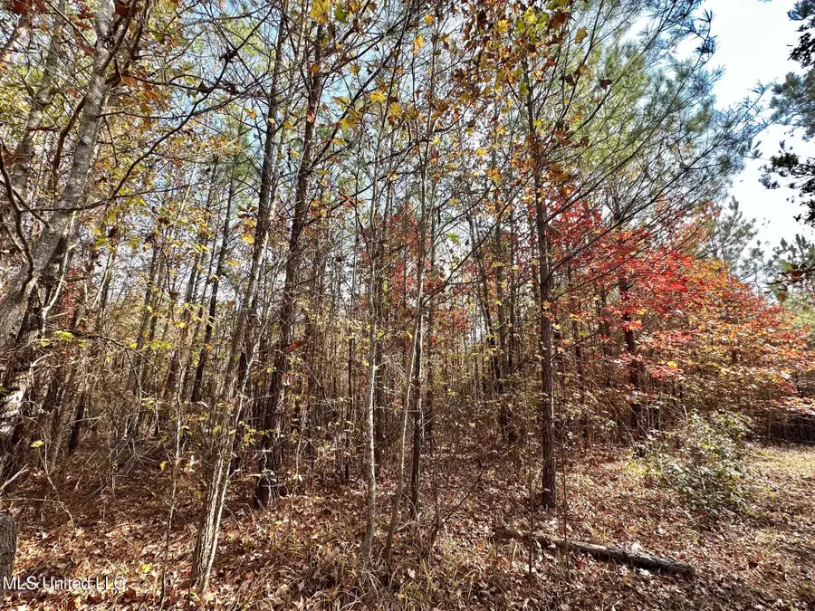 7 County Road 3122, McCool, MS 39108 - Image #3