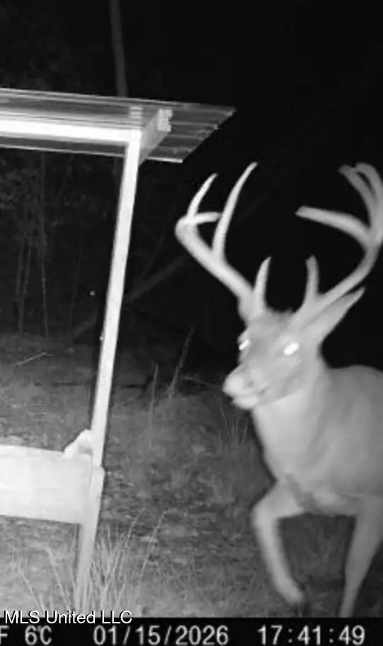 Sturgis Road, Louisville, MS 39339 - Image #1