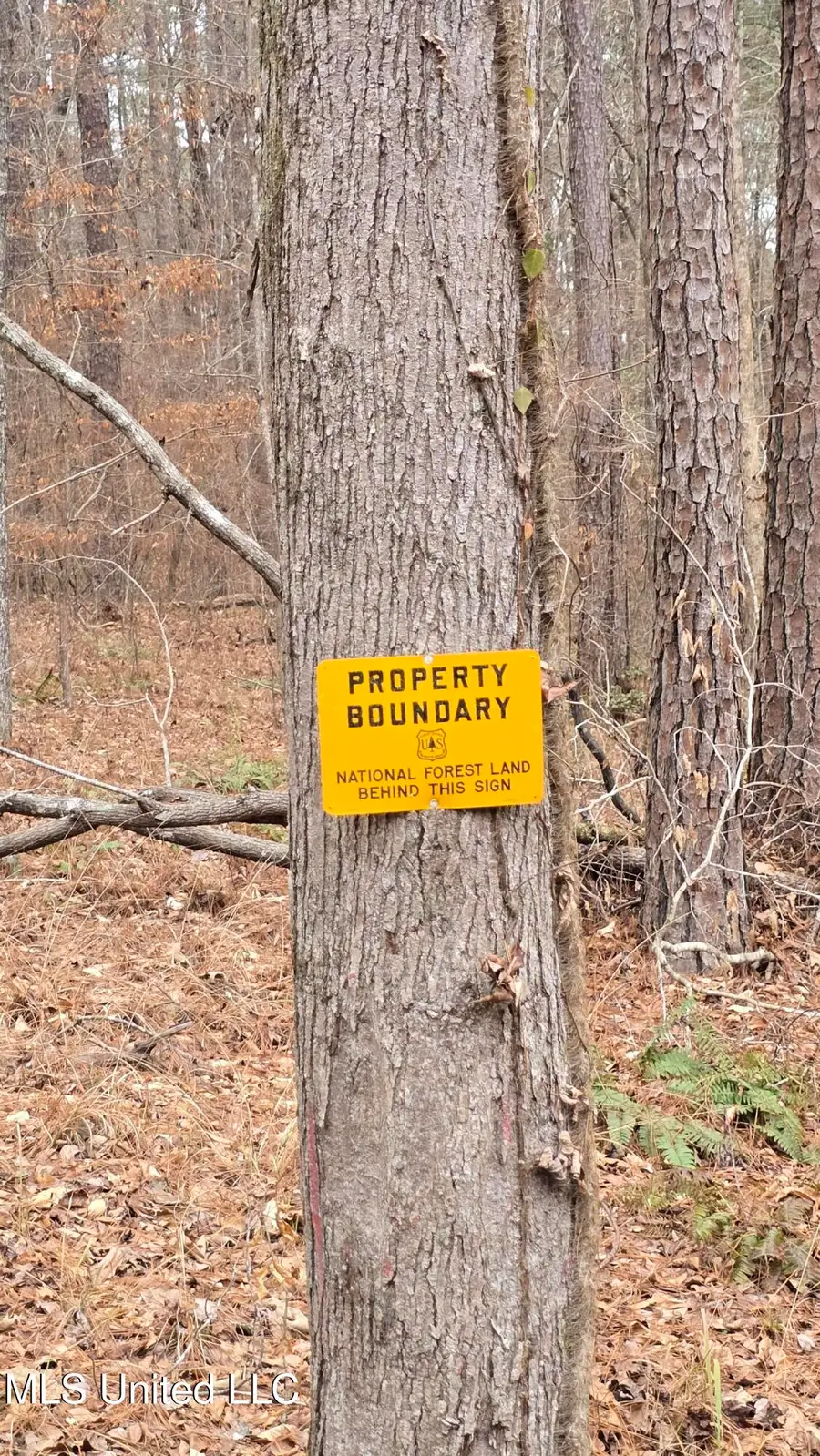 Sturgis Road, Louisville, MS 39339 - Image #3