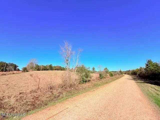 John Smith Road, Mount Hermon, LA 39518 - Image #3