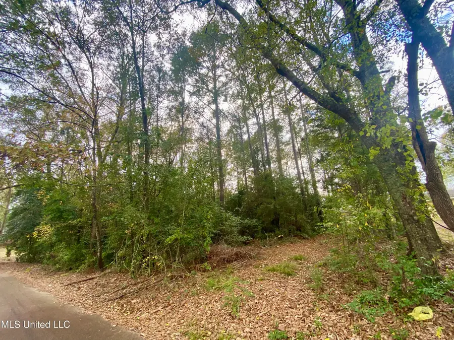 800 Jackson Avenue, McComb, MS 39648 - Image #3