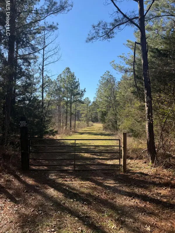 Off Of Saint Augustine Drive, Pearl, MS 39208