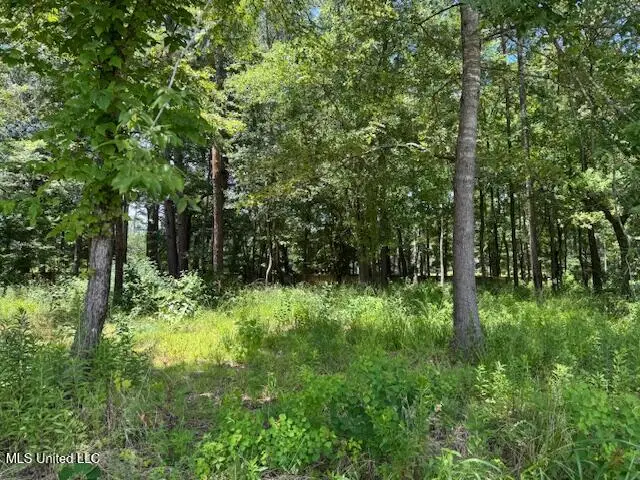 131 Stone Lake Drive, Madison, MS 39110 - Image #3