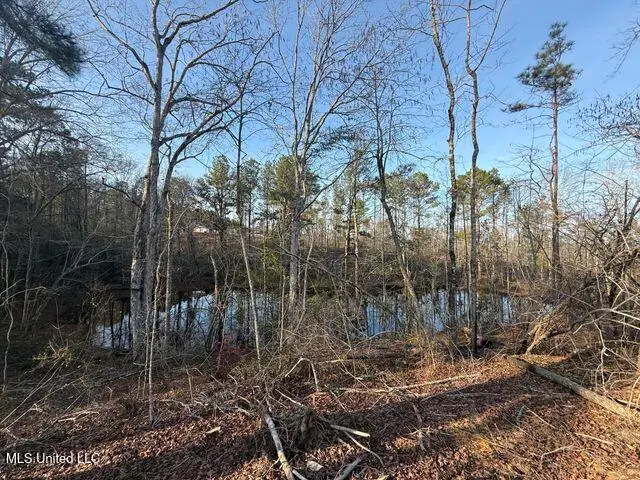 547 Shirley Sanford Road, Seminary, MS 39479 - Image #2