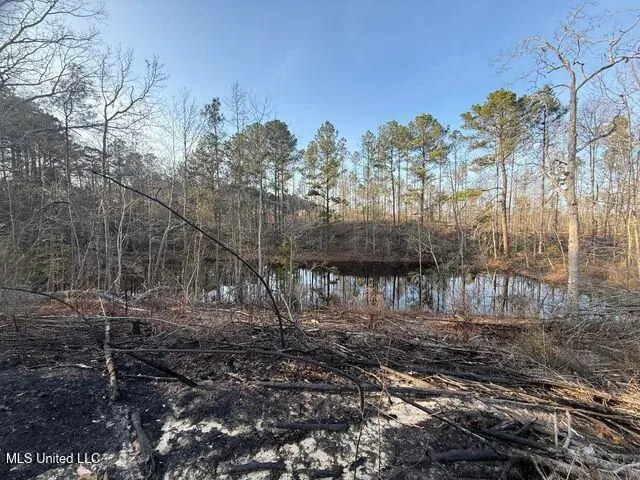 547 Shirley Sanford Road, Seminary, MS 39479 - Image #3