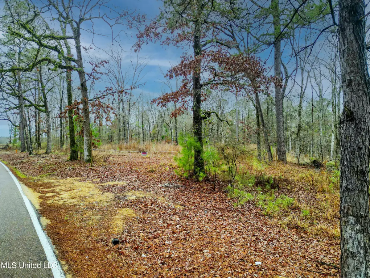Mullican Road, Florence, MS 39073 - #1