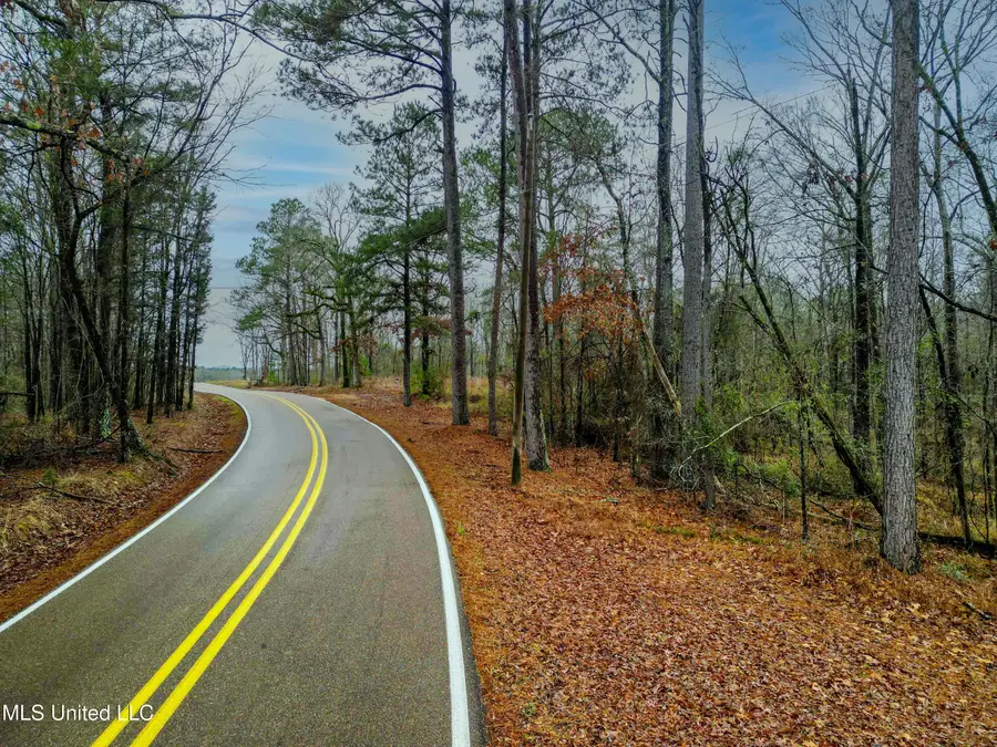 Mullican Road, Florence, MS 39073 - #3