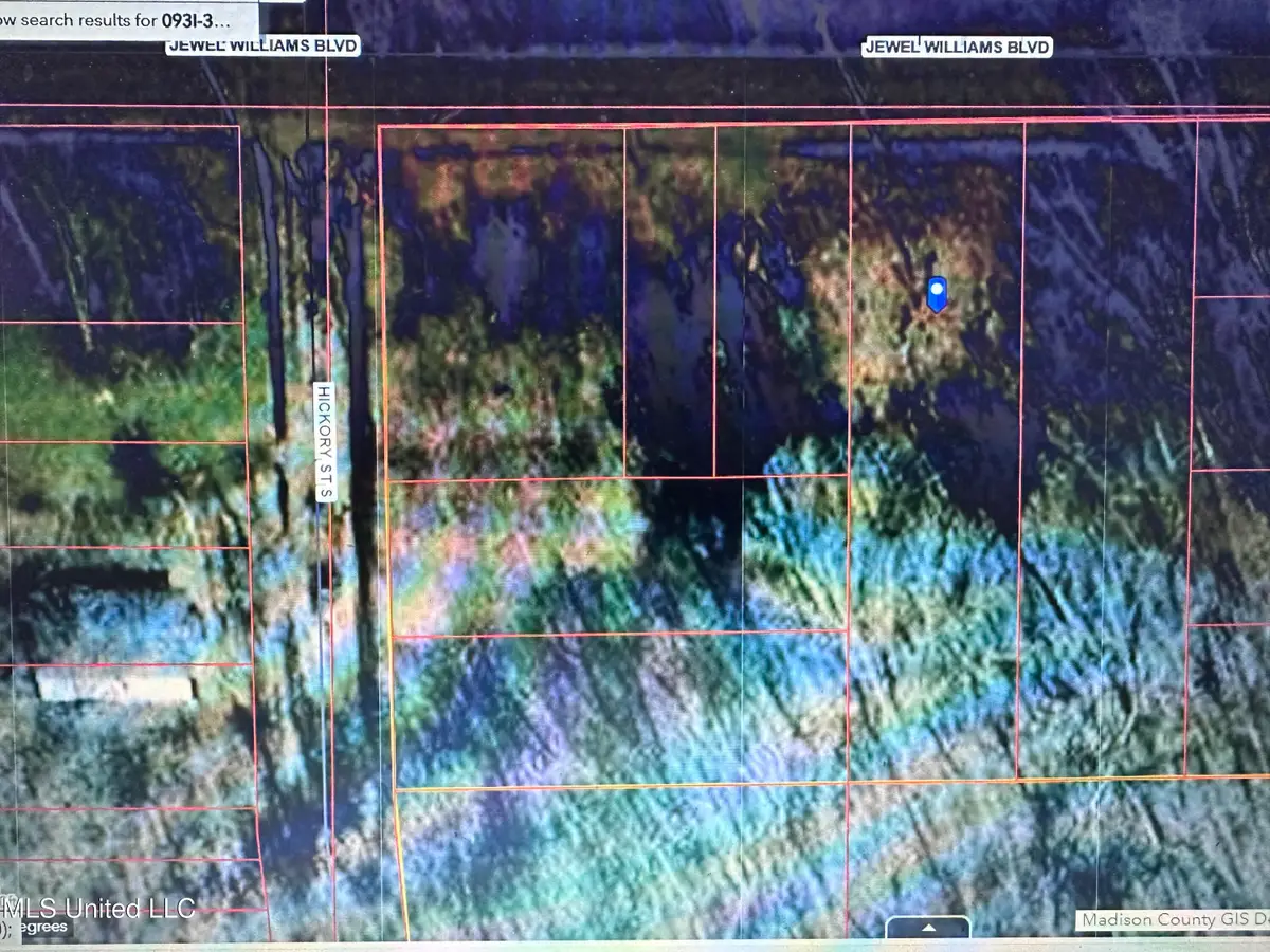 0 Jewell Williams Boulevard, Canton, MS 39046 - Image #1