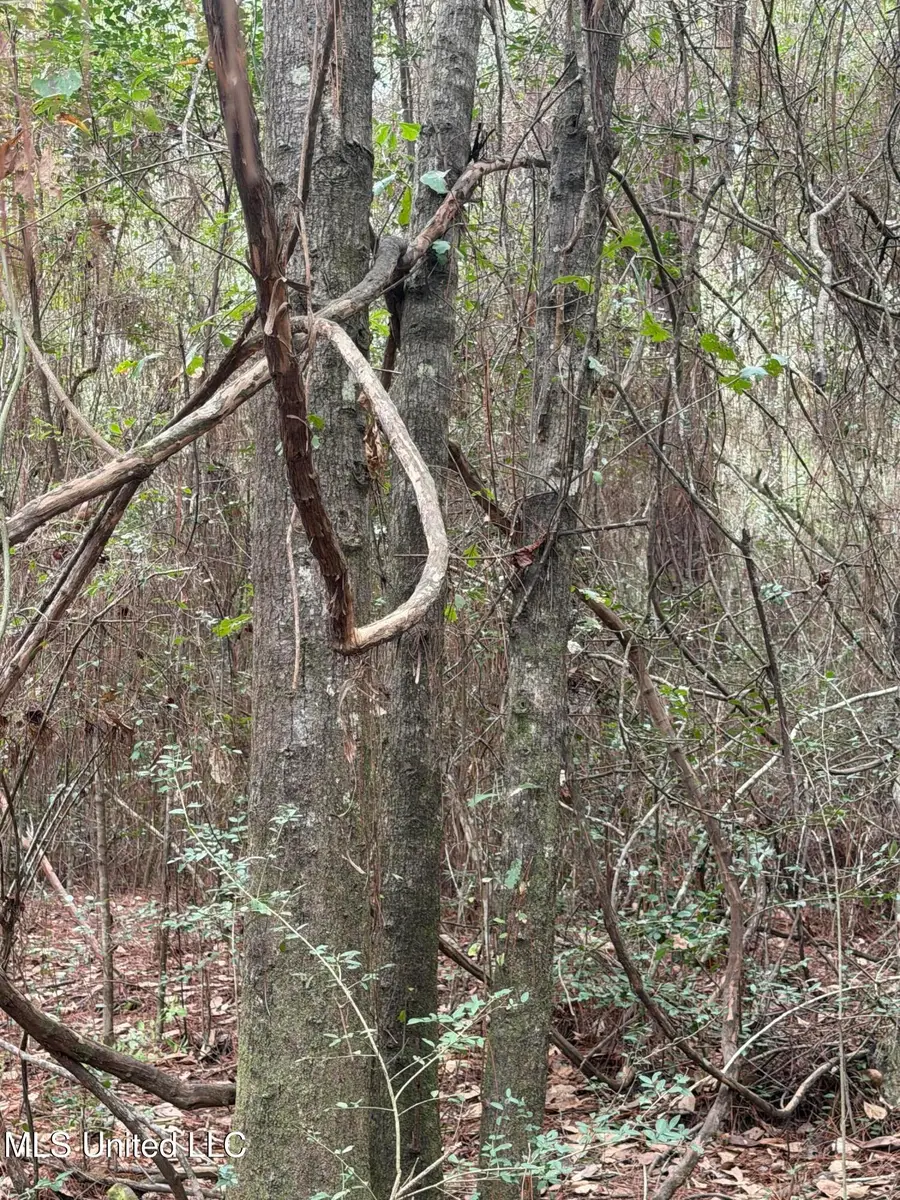 00 Lorraine Road, Biloxi, MS 39532 - Image #3