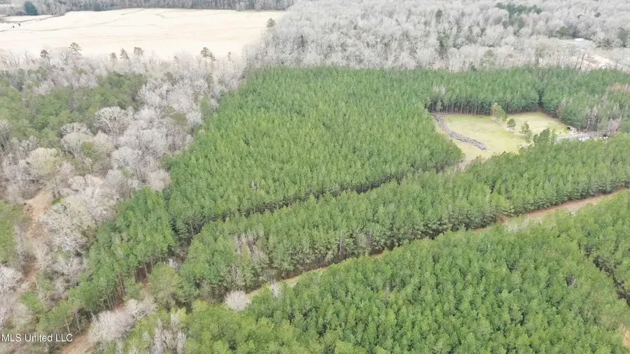 Anderson Road, Wesson, MS 39191 - #3