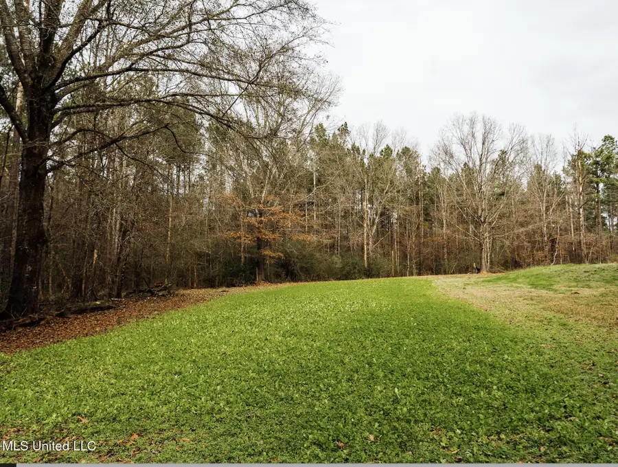 0 Warren Hood Road, Hermanville, MS 39086 - #2