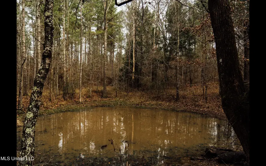 0 Warren Hood Road, Hermanville, MS 39086 - #3