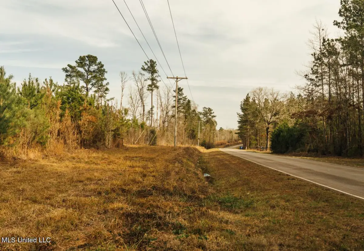 Tbd SW Arlington Drive, Bogue Chitto, MS 39629 - #1