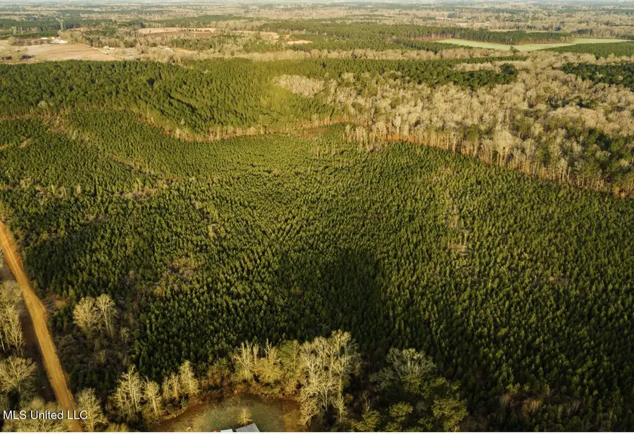 Tbd SW Arlington Drive, Bogue Chitto, MS 39629 - #3