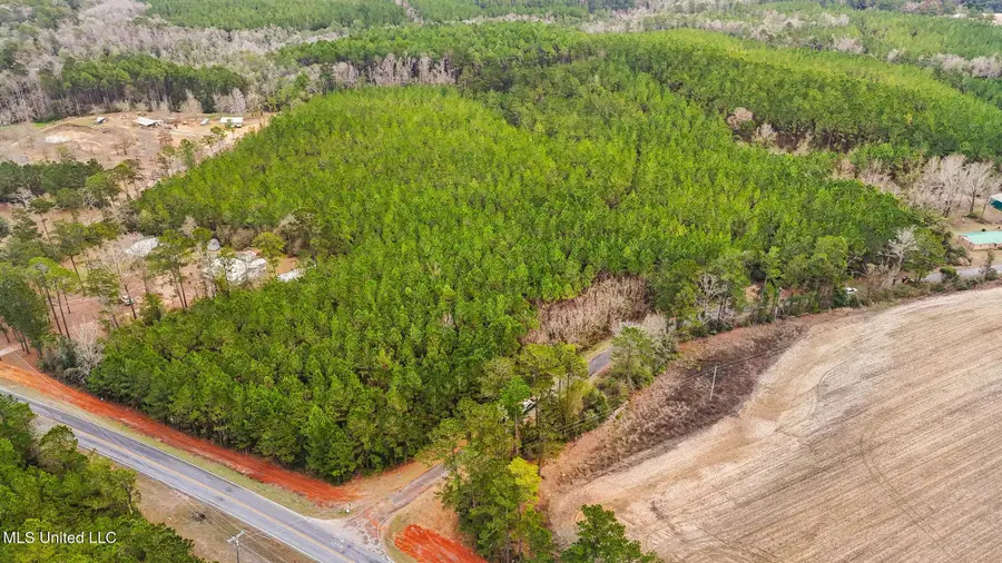 89ac Old Hwy 63n & Fork Rd, Lucedale, MS 39452 - Image #2