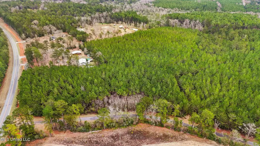 89ac Old Hwy 63n & Fork Rd, Lucedale, MS 39452 - Image #3